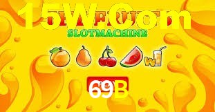 Premium Interface 69B