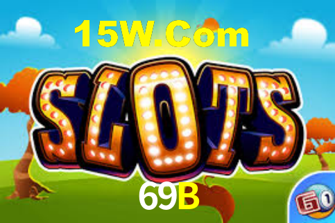 Premium Interface 69B