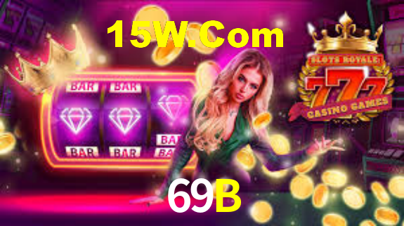 Premium Interface 69B
