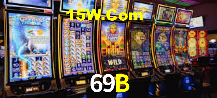 69B App Interface